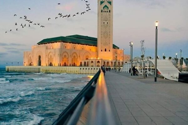 61332136_1972186972887741_5092630275775528960_o